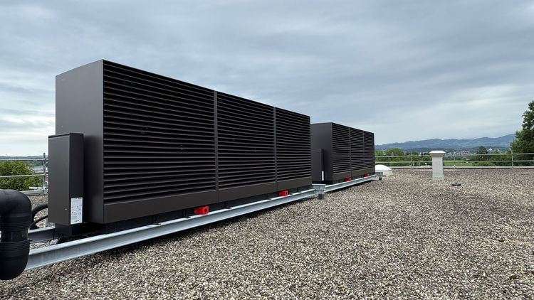 WhatsApp Image 2025-07-17 at 07.41.31.jpg